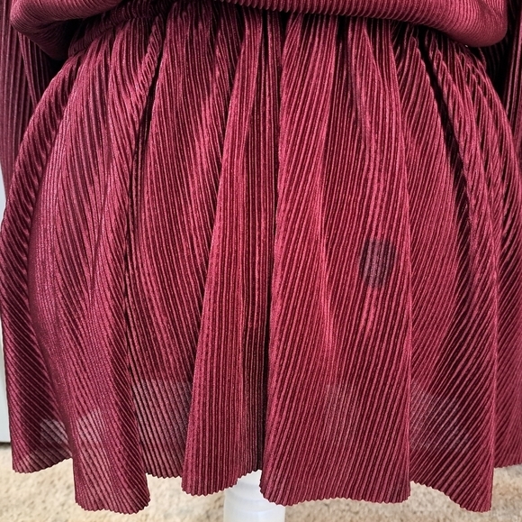 NWT Floral & Ivy Wine Pleated V-Neck Tunic - Picture 6 of 10